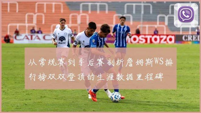 从常规赛到季后赛剖析詹姆斯WS排行榜双双登顶的生涯数据里程碑